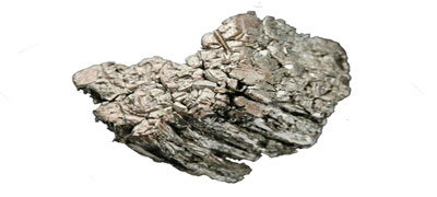 Scandium